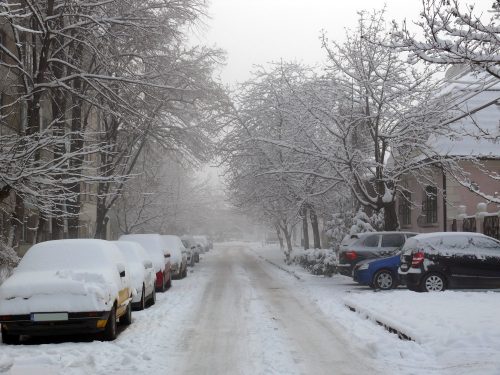 Iarna Timisoara